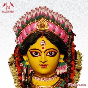 Drishti Durga Homam Harivara Telugu