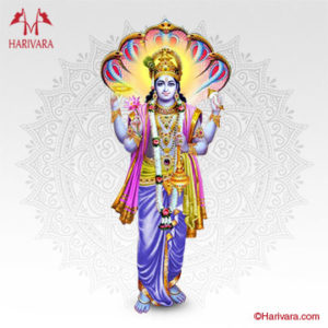 Maha Sudarshana Homam Harivara Telugu