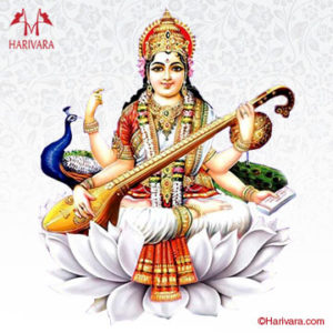 Saraswati Homa Harivara Kannada