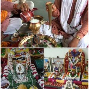 rudrabhishek puja