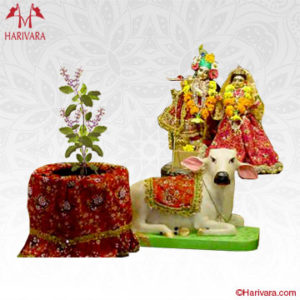 Tulsi Vivah Puja Harivara Hindi