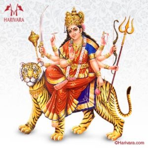 Mata Ki Chowki Harivara Hindi